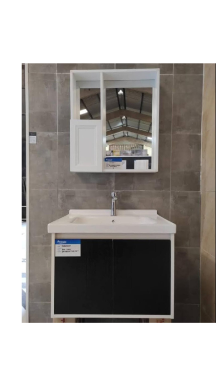 Frencia Mirrored cabinet sink